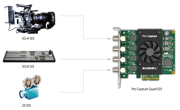 support-most-sdi-standard-1-0-min