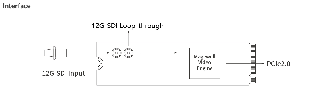 Magewell-Eco-Capture-SDI-4K-Plus_Interface_Banner